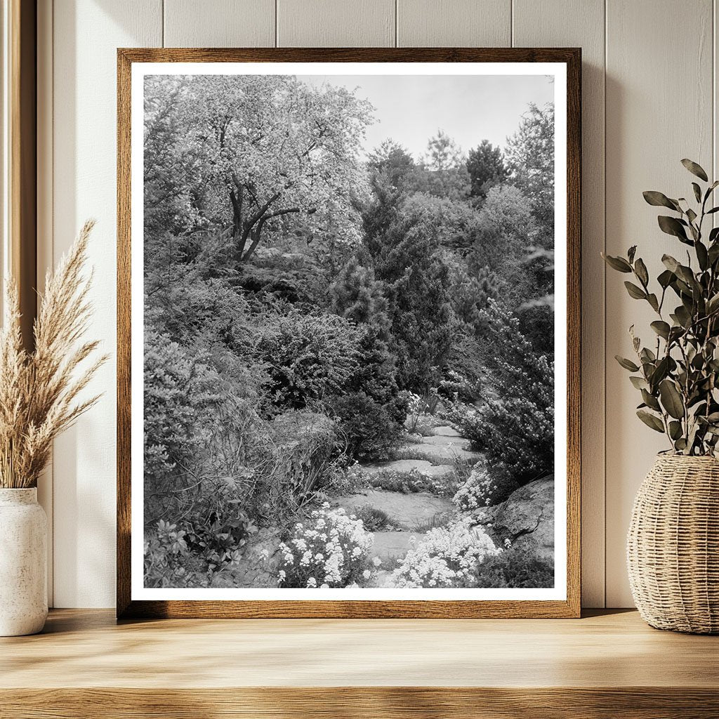 Boyce, Virginia Vintage Photograph from 1900s Carnegie Surve