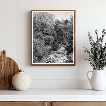 Boyce, Virginia Vintage Photograph from 1900s Carnegie Surve