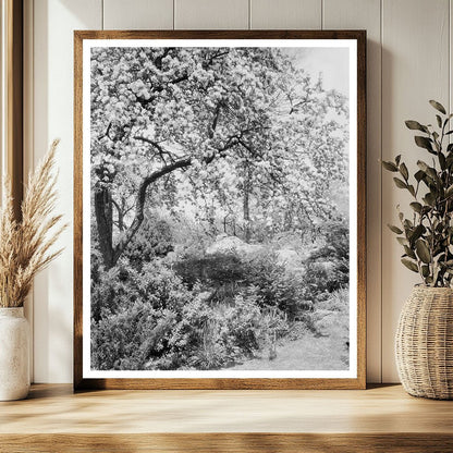 Boyce VA Garden Photograph, Early 20th Century