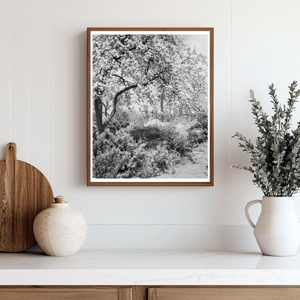 Boyce VA Garden Photograph, Early 20th Century