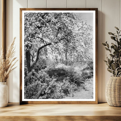 Boyce VA Garden Landscape Photo, Early 20th Century