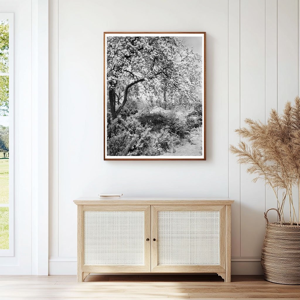 Boyce VA Garden Landscape Photo, Early 20th Century