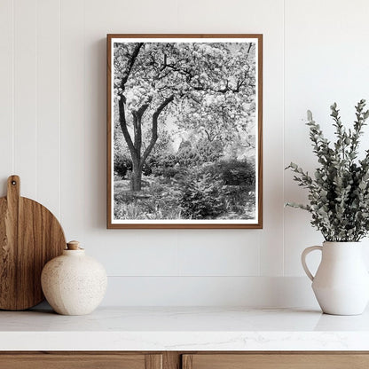 Vintage Garden Landscape in Boyce, VA, 20th Century