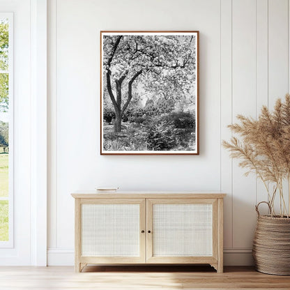 Vintage Garden Landscape in Boyce, VA, 20th Century