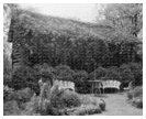 Log Cabin in Fauquier County, VA - 1900s Vintage Photo
