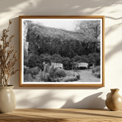Log Cabin in Fauquier County, VA - 1900s Vintage Photo