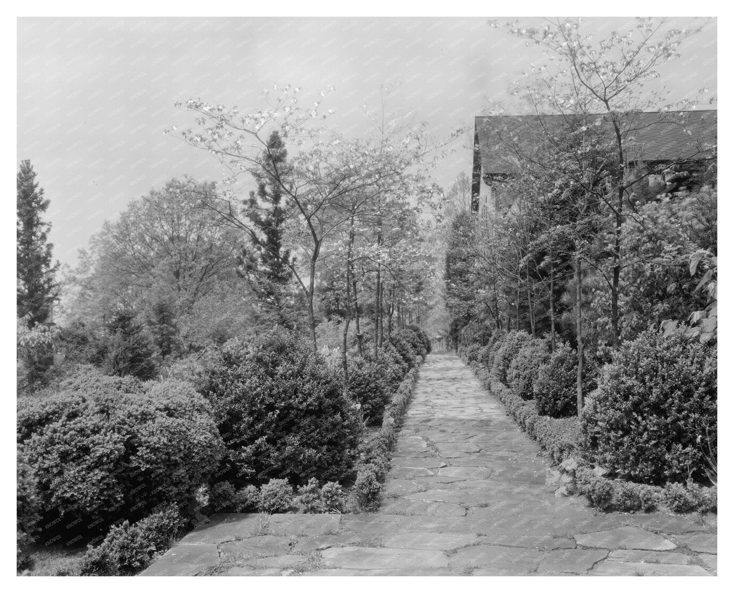 Vintage Landscape of Warrenton, VA - 1950s Architecture