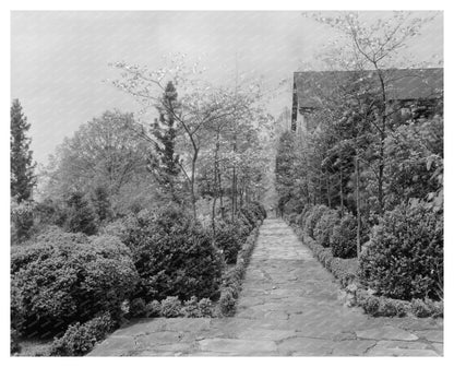 Vintage Landscape of Warrenton, VA - 1950s Architecture