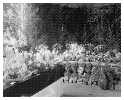 Flower Show in Middleburg, Virginia - 20th Century History