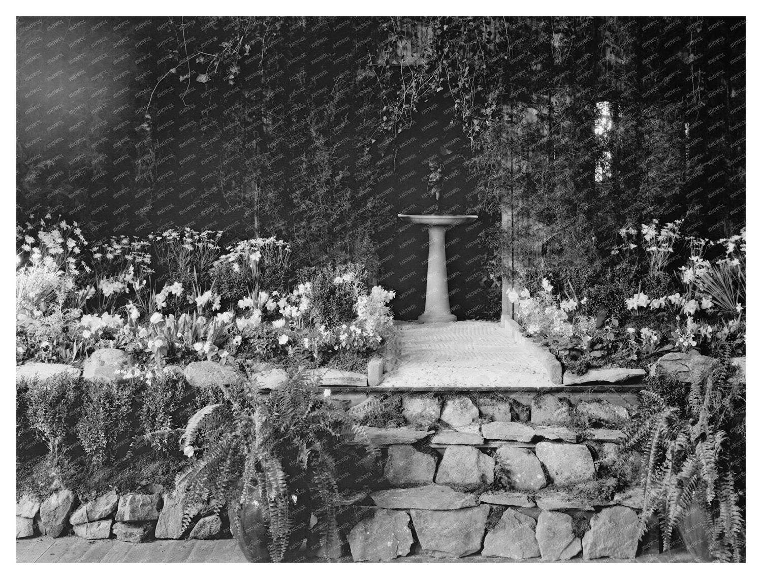 Middleburg Flower Show, Virginia 1900s Historic Photo