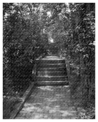 Vintage Photo of Fitzhugh Home, Falmouth VA, Early 1900s