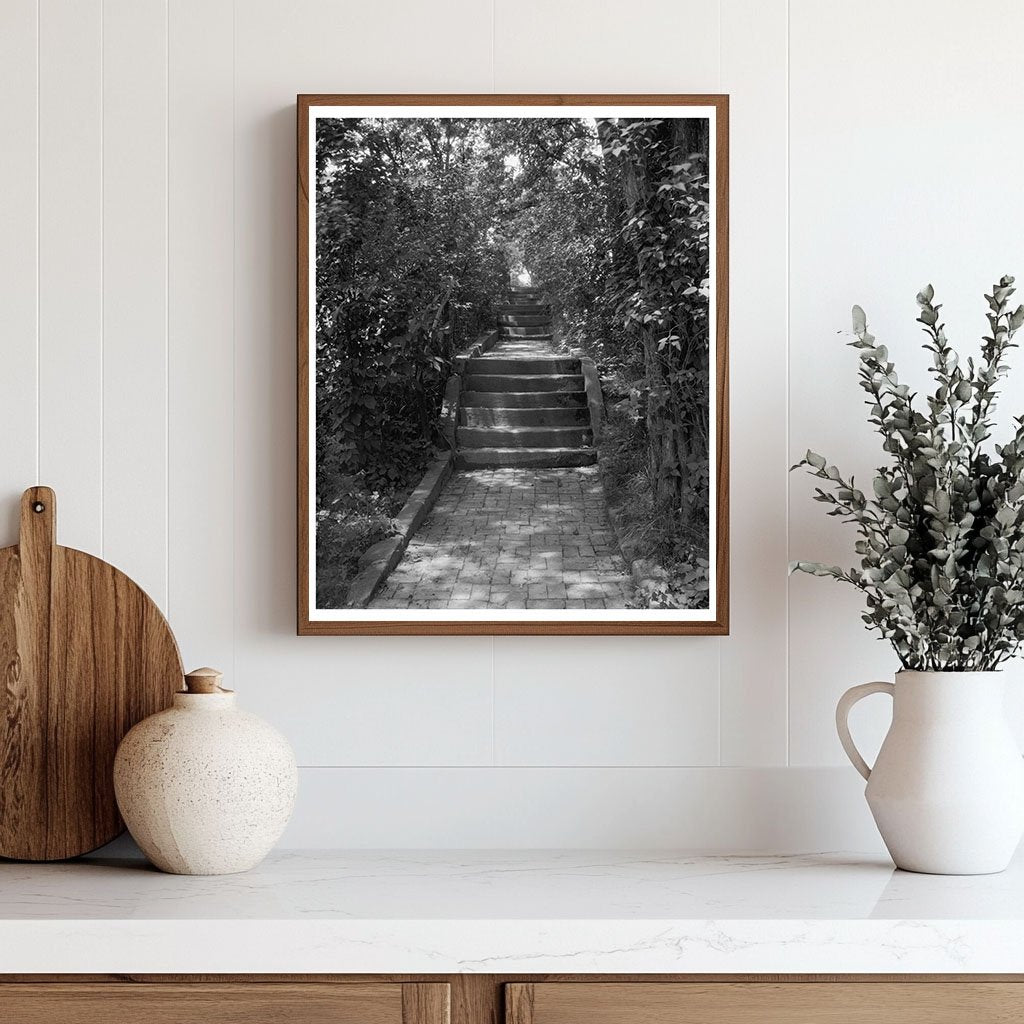 Vintage Photo of Fitzhugh Home, Falmouth VA, Early 1900s