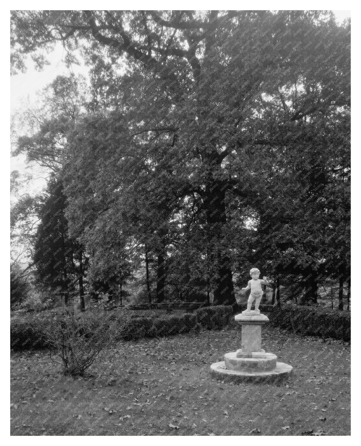 Falmouth, VA Historic Home Photo, Early 20th Century