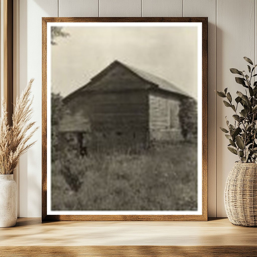 Natchez, Mississippi Vintage Cabins Photo, 20th Century