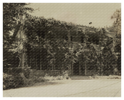 Elmscourt Residence, Natchez MS, 1810 Historical Photo