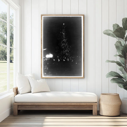 Festive 1914 NYC Christmas Tree in Madison Square Park