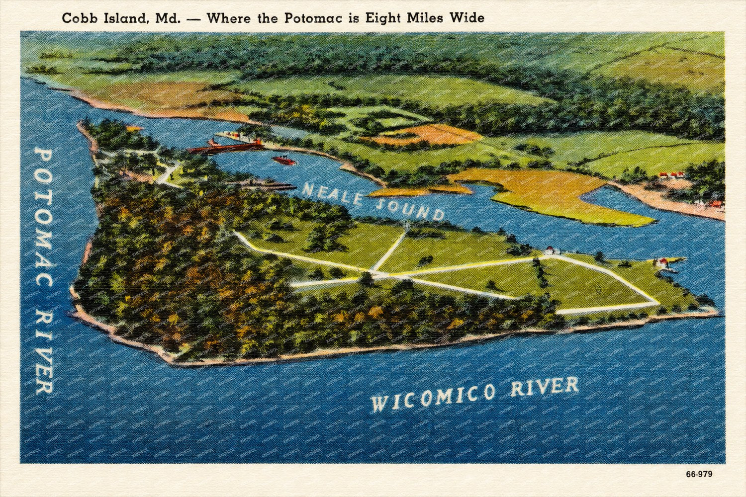 Cobb Island, MD -- where the Potomac is eight miles wide — Vintage Maryland Postcard