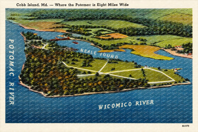 Cobb Island, MD -- where the Potomac is eight miles wide — Vintage Maryland Postcard