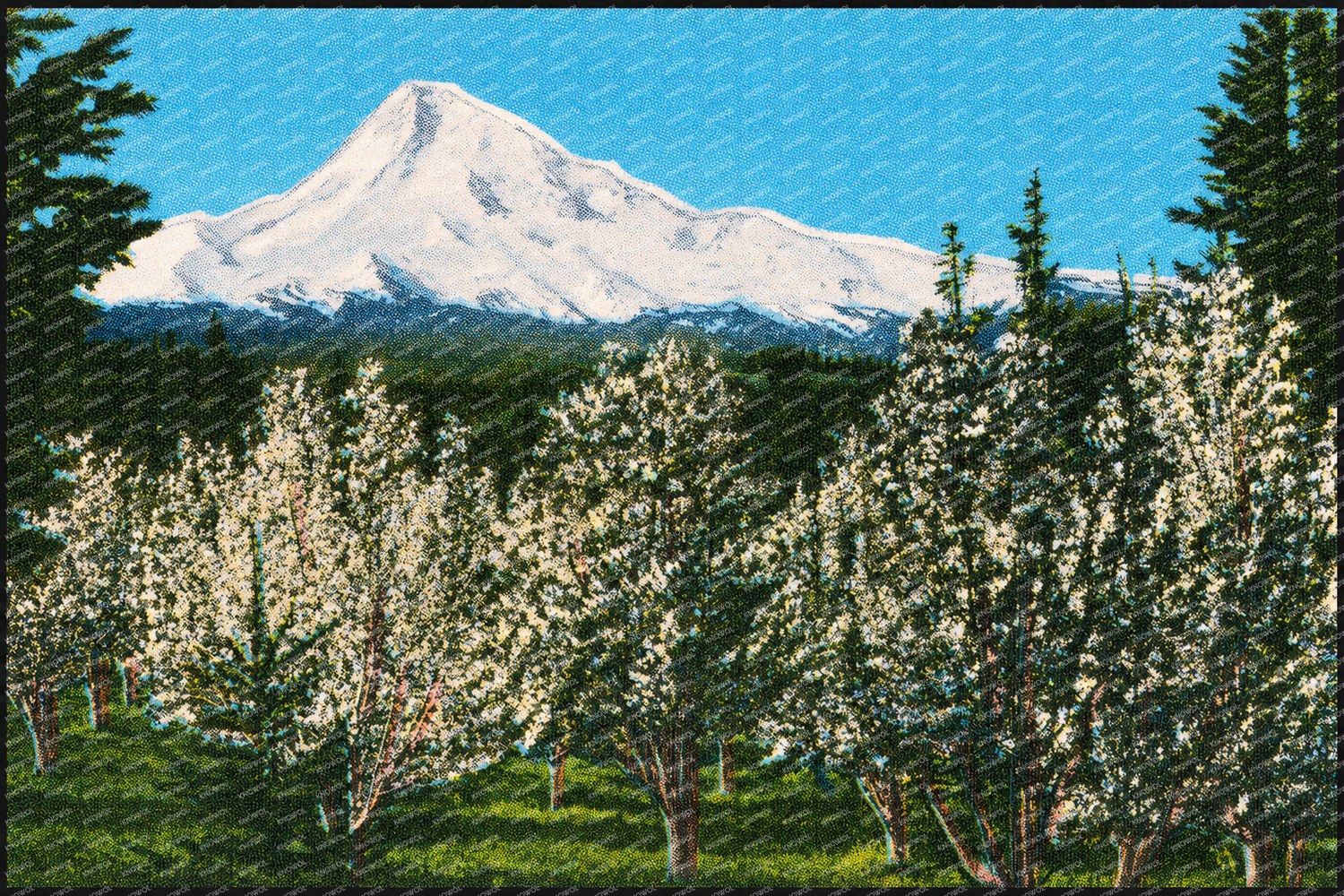 Hood, Mount, OR: Mount Hood