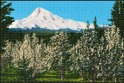 Hood, Mount, OR: Mount Hood