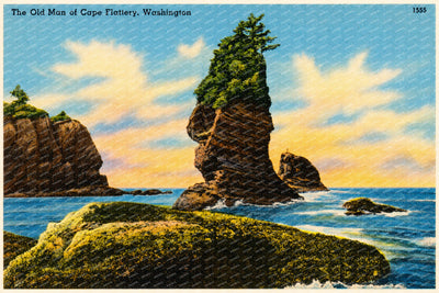 Flattery, Cape, WA: The Old Man of Cape Flattery