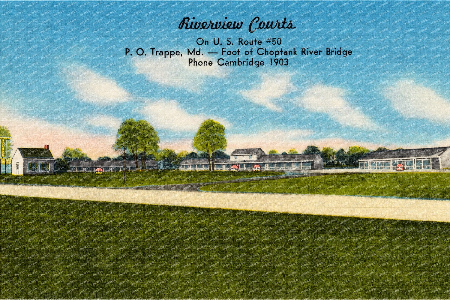 Riverview Courts, on U. S. Route #50, P. O. Trappe, MD -- Foot of Choptank River Bridge — Vintage Maryland Postcard