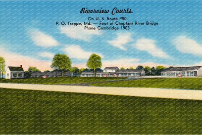 Riverview Courts, on U. S. Route #50, P. O. Trappe, MD -- Foot of Choptank River Bridge — Vintage Maryland Postcard