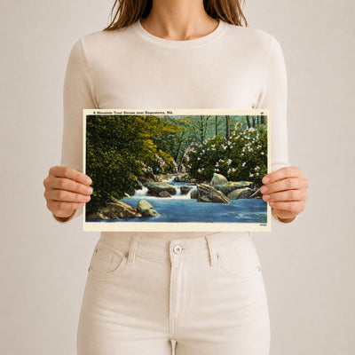 A mountain trout stream near Hagerstown, MD — Vintage Maryland Postcard