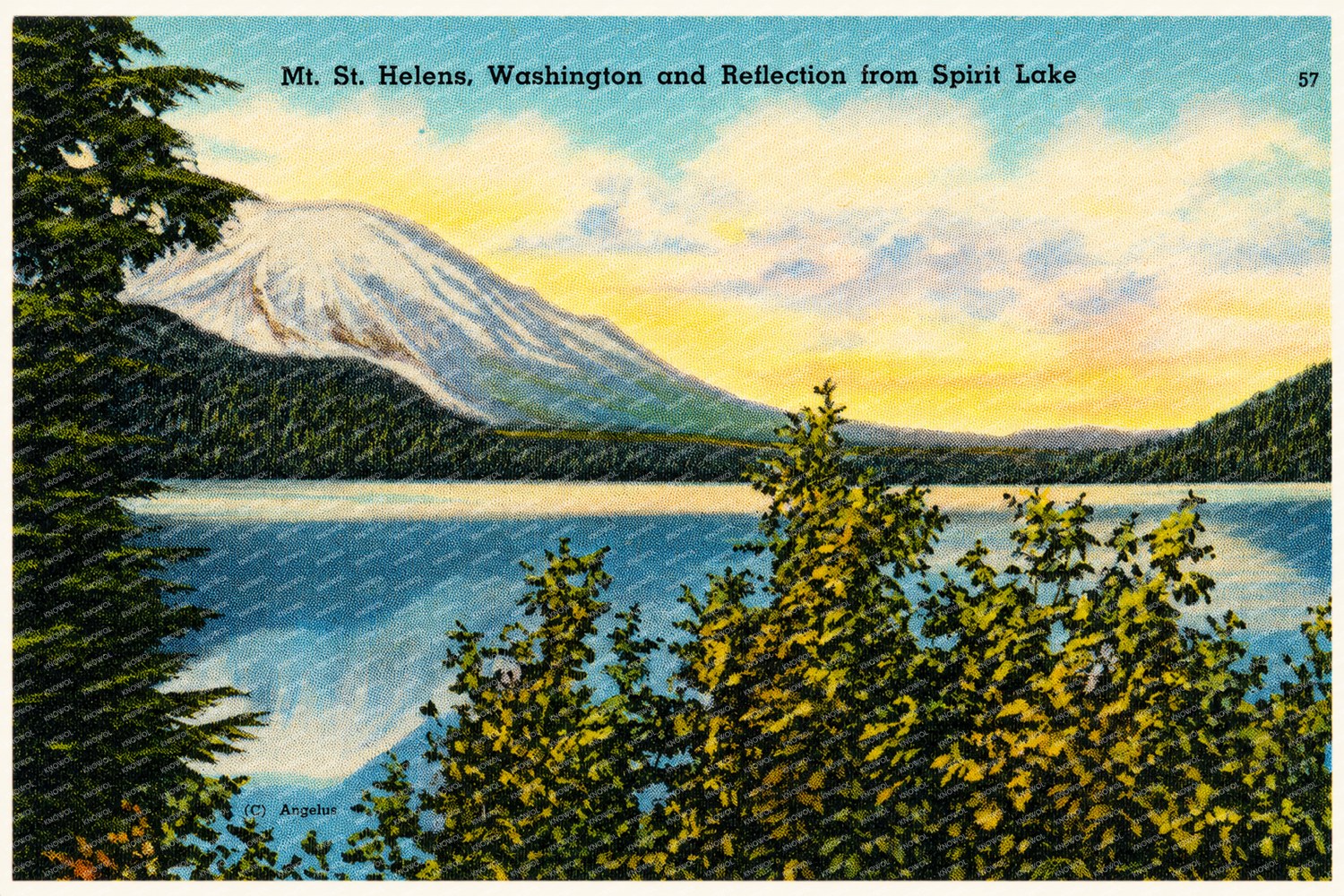 Saint Helens, Mount, WA: Mt. St. Helens, Washington and reflection from Spirit Lake