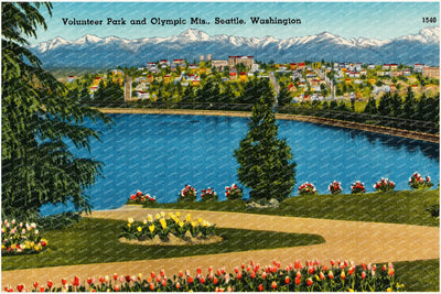 Seattle, WA: Volunteer Park and Olympic Mts.