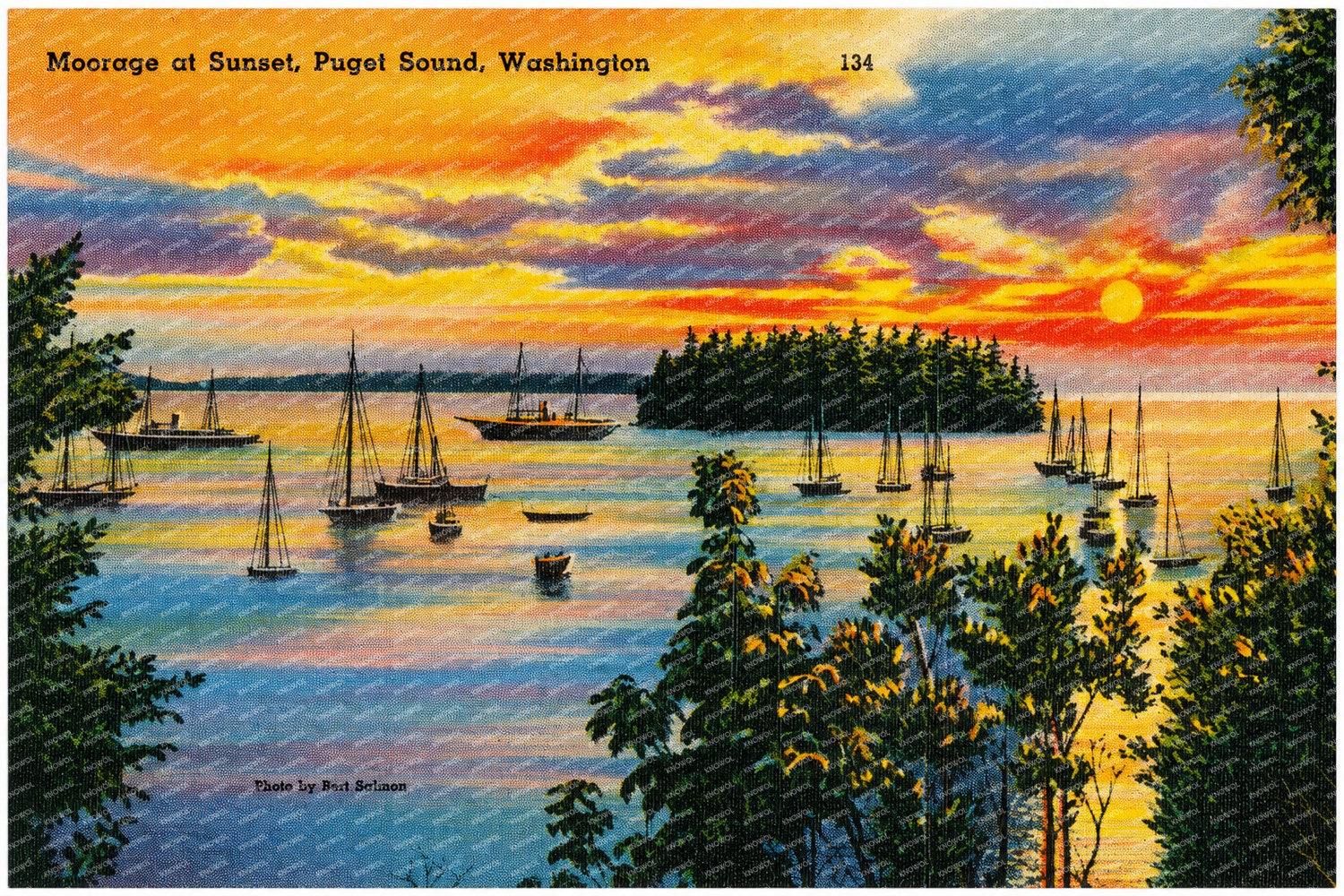 Puget Sound, WA: Moorage at sunset