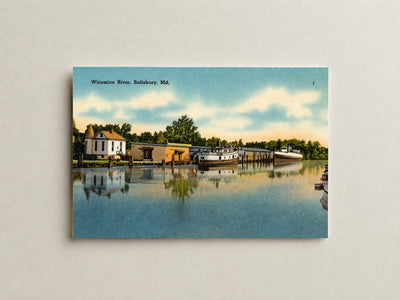 Wicomico River, Salisbury, MD — Vintage Maryland Postcard