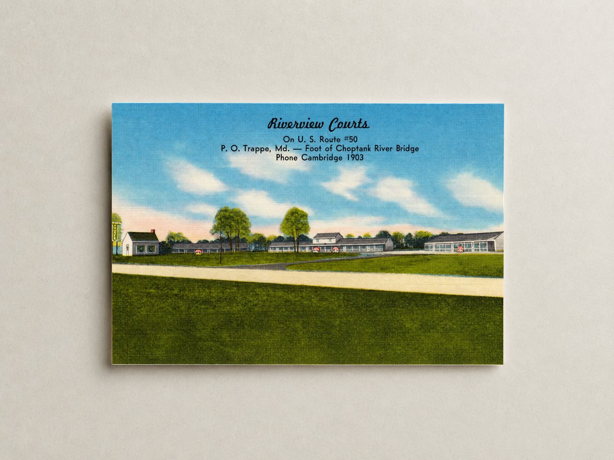 Riverview Courts, on U. S. Route #50, P. O. Trappe, MD -- Foot of Choptank River Bridge — Vintage Maryland Postcard