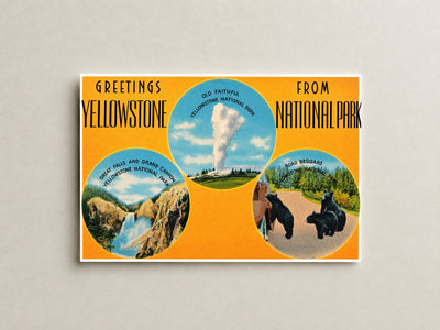 Yellowstone National Park, WY: Greetings from Yellowstone National Park -- Old Faithful, Great Falls and Grand Canyon, Road Beggars