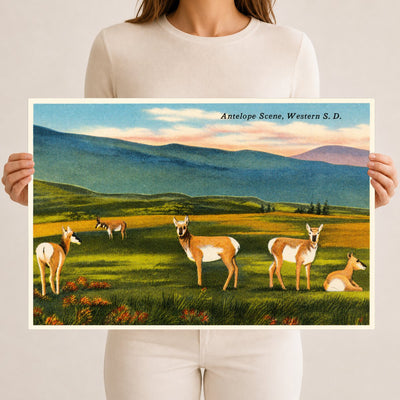 SD: Antelope scene, Western S. D.
