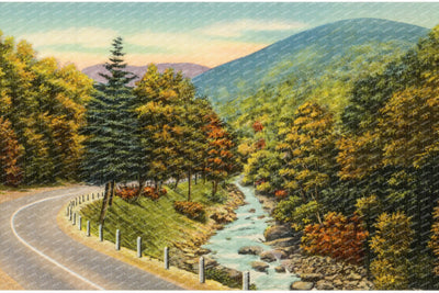Road paralleling stream — Vintage Maryland Postcard