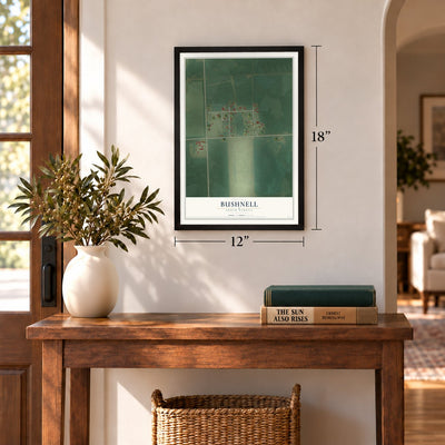 Bushnell, South Dakota map, 12 x 18 inch print in a black frame in an entryway