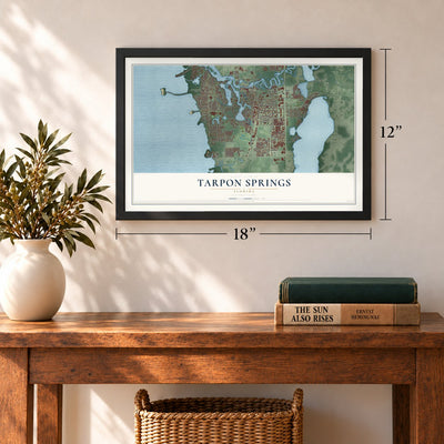 Tarpon Springs, Florida map, 12 x 18 inch print in a black frame in an entryway
