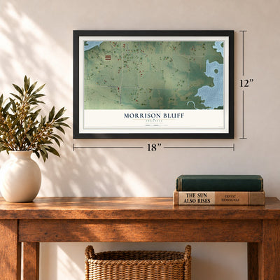 Morrison Bluff, Arkansas map, 12 x 18 inch print in a black frame in an entryway