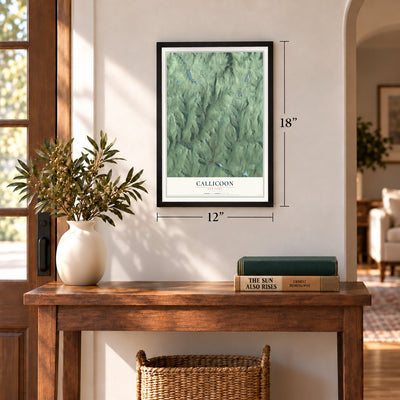 Callicoon, New York map, 12 x 18 inch print in a black frame in an entryway