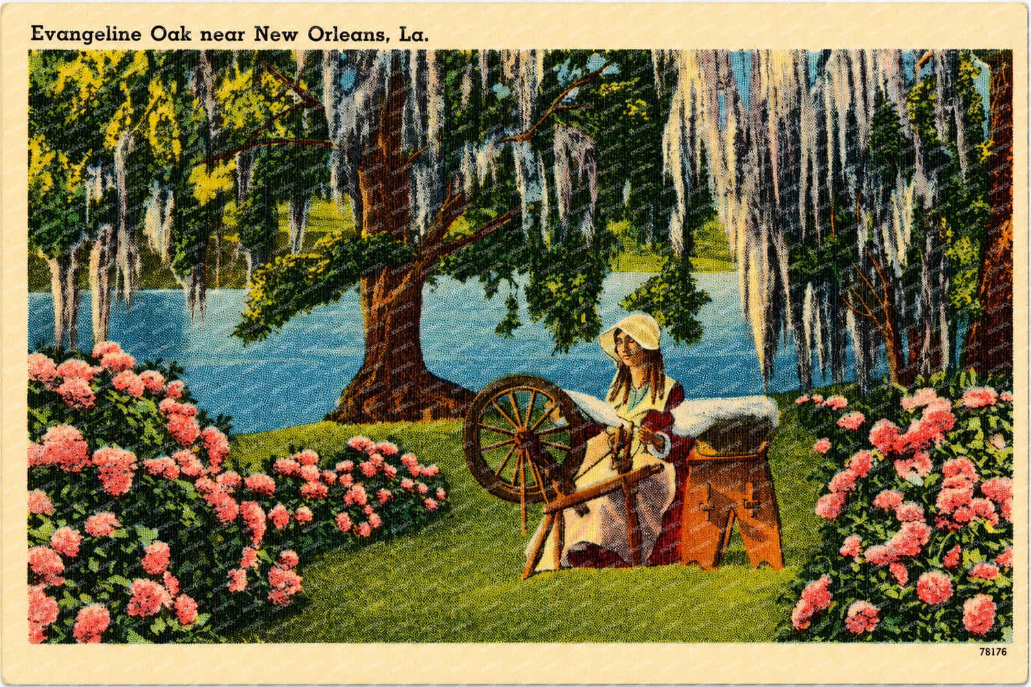 New Orleans, LA: Evangeline Oak near New Orleans