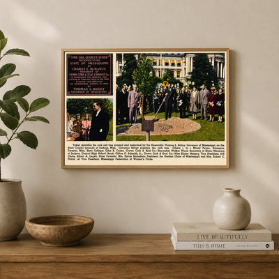 MS: Tablet identifies the cork oak tree planted and dedicated by the Honorable Thomas L. Bailey, Governor of Mississippi, on the State Capitol grounds at Jackson