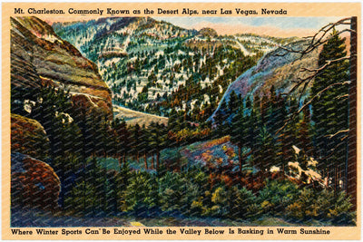 Mount Charleston, NV: Mt. Charleston, commonly known as the Desert Alps, near Las Vegas, Nevada. Where winter sports can be enjoyed while the valley below is basking in warm sunshine.