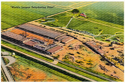 Caldwell, ID: "World's largest dehydrating plant"