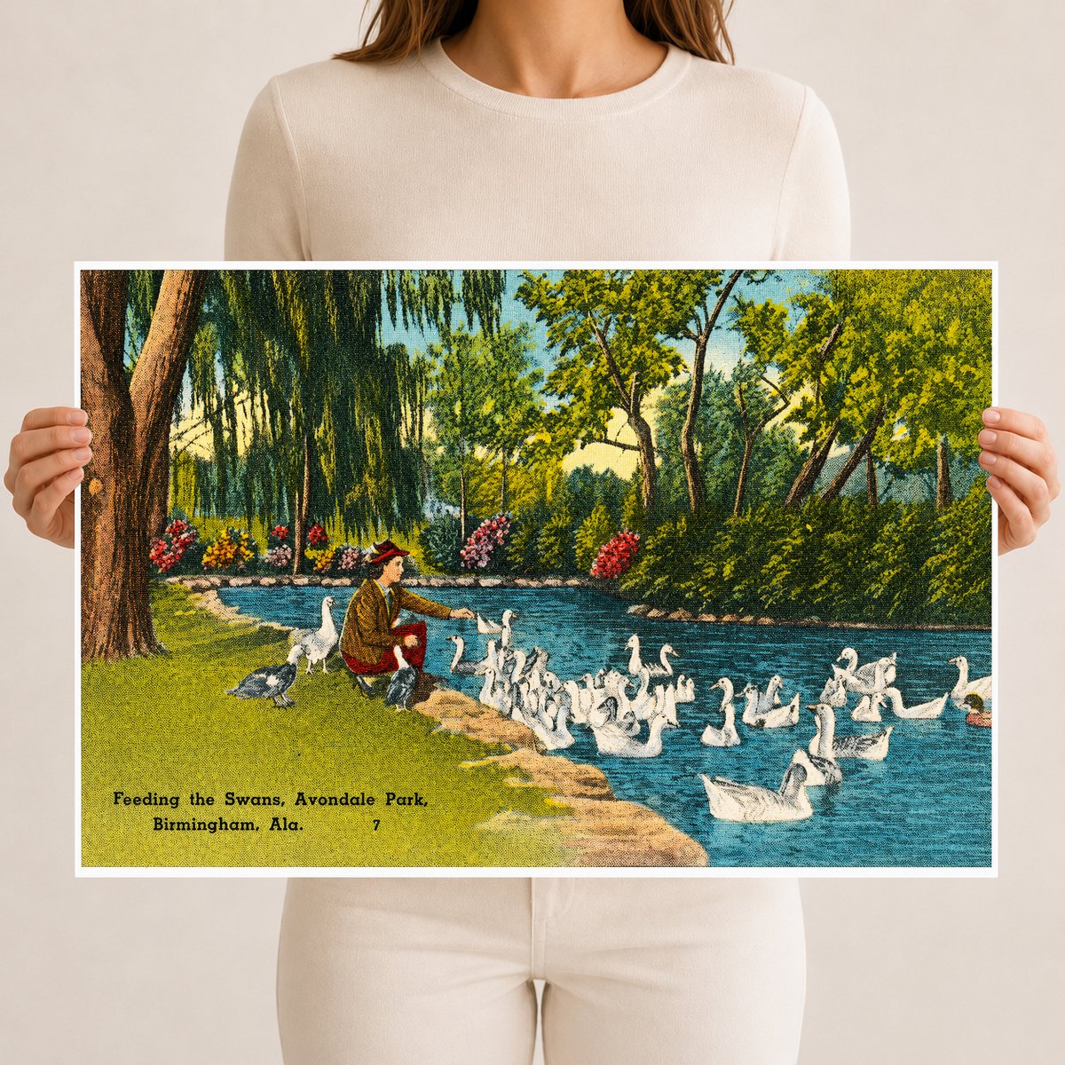 Birmingham, AL: Feeding the swans, Avondale Park