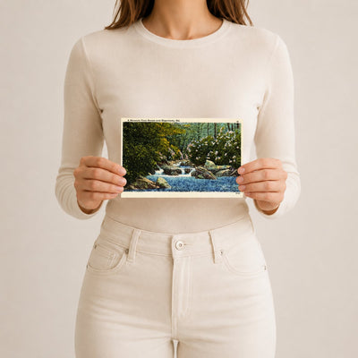 A mountain trout stream near Hagerstown, MD — Vintage Maryland Postcard