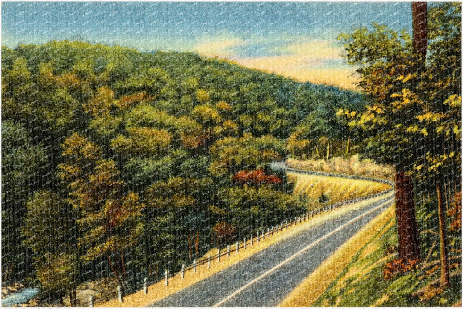 Road winding through forest — Vintage Maryland Postcard