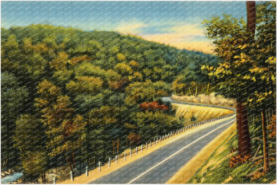 Road winding through forest — Vintage Maryland Postcard