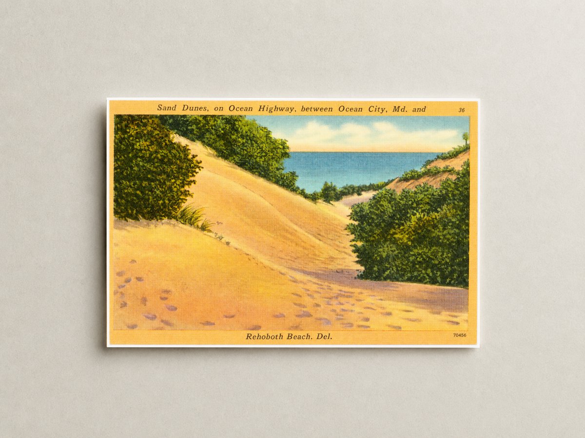 Sand dunes, on Ocean Highway, between Ocean City, MD and Rehoboth Beach. Del. — Vintage Maryland Postcard