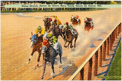 Home stretch, Havre de Grace Race Track, Havre de Grace, MD — Vintage Maryland Postcard